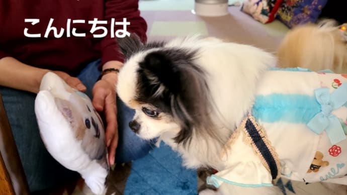 奇跡の3ショットですねん(笑)