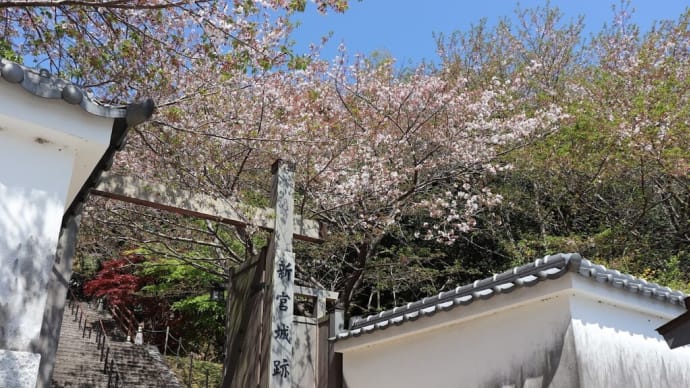 熊野(22)新宮城址