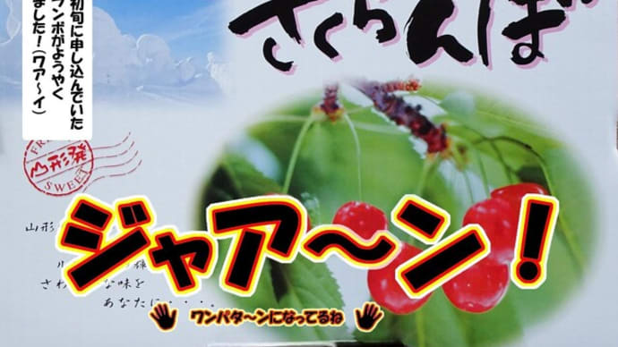 高級食材で遊ぶネコ