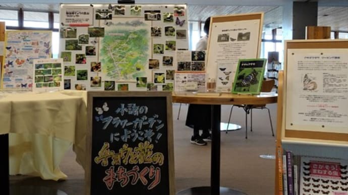 糠地郷蝶の里山プロジェクト紹介コーナー 小諸市図書館