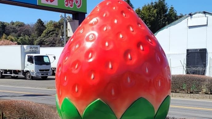 いちご狩り~🍓