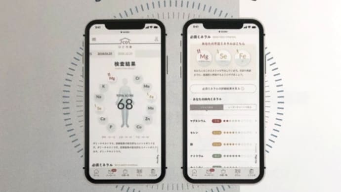 新メニュー2 毛髪栄養診断をアヤジンで、、、