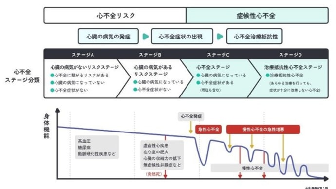 コロナワクチン接種後しばらくしてから血圧低下、心不全の症状かも?