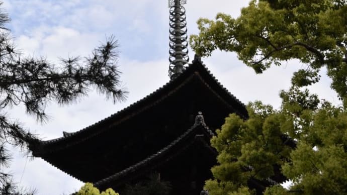 早朝の散歩　興福寺五重塔が猿沢池に映る景色　　　７