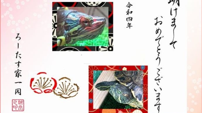 迎春！　今年も皇帝ヒョードルとかめっぱちをよろしくお願いします