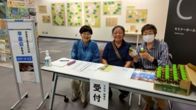 第1回幹事会 報告( 2024/9/1~2026/8/31 )