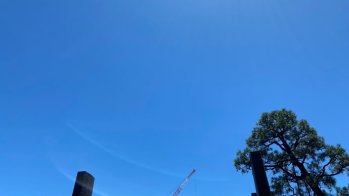 暑さ到来…と。
