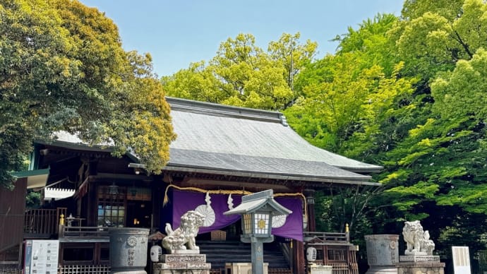 🍓下野国ビジホ旅①スタートは二荒山神社⛩️