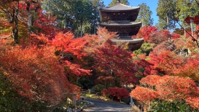 12月2日の常楽寺の紅葉と車😥