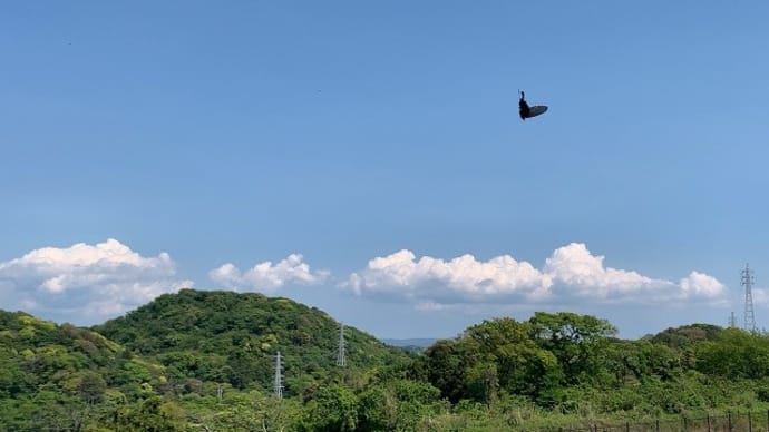午前掃除で午後お散歩。「空が青いなあ」