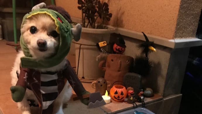 長いハロウィン