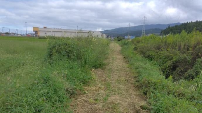 捨てるべきか売るべきか、置いておくべきか