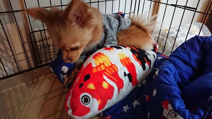 ◯◯越しの。。