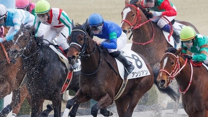 【アンジアン】ペースを上げると馬体が減り気味に…