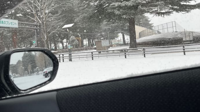 雪、積もりました。。。