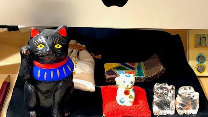 草庵阿里伽の猫さん達をご紹介します。