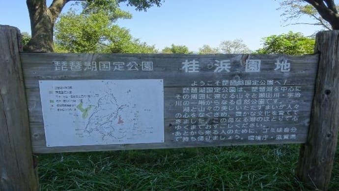 桂浜園地・彼岸花