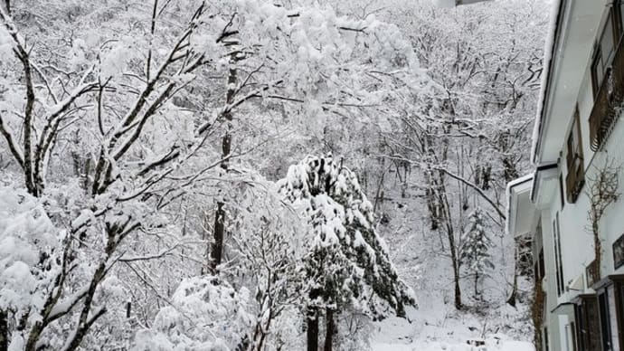 2019/03/14（木）：今頃雪！！又、冬に逆戻りのようです。