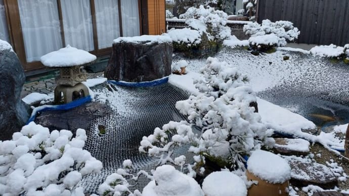 風呂でのぼせてしまった・・・。