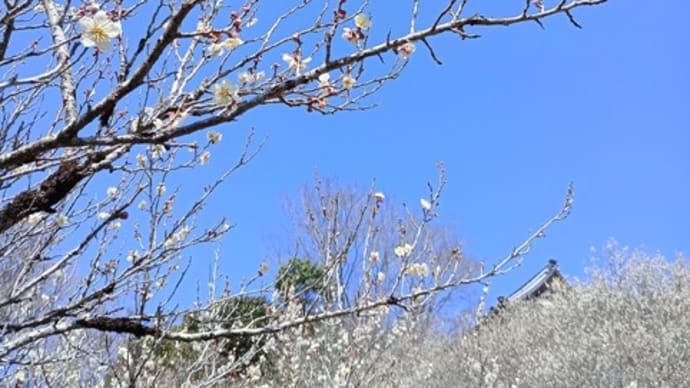 2025-04-13 Photo