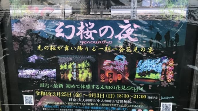 川原寺と石舞台古墳夜桜