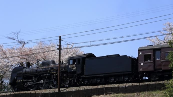 桜咲く秩父路を往くSLパレオエクスプレス旧型客車特別運行