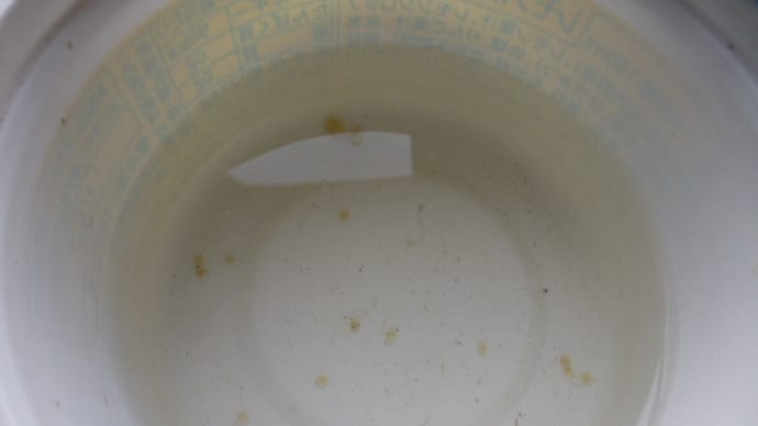 メダカの産卵数が増えてきました。そろそろと心待ちです。