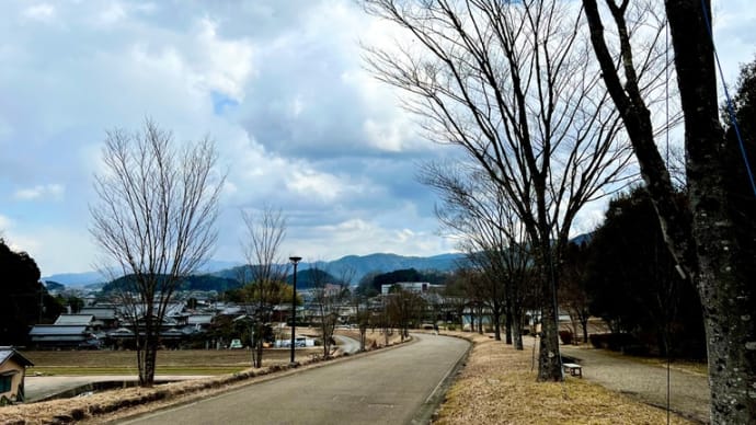 寒の戻りに 並木道中央公園