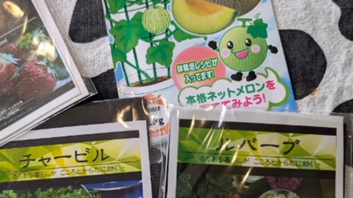 【#苗仕事】が次々待っているけれど、Gooブログの引っ越しは…