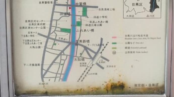 満開週間Vol.3