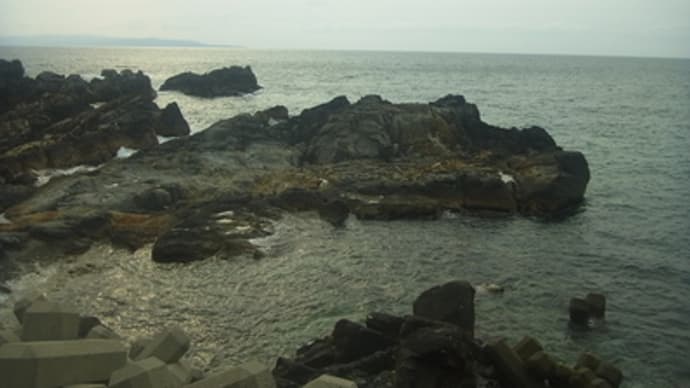 海サクラマス