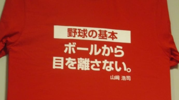 カープまた１点差で負けました・・・「１点差の負けは監督の責任」「勝ちに不思議な勝ちあり、負けに不思議な負けなし」