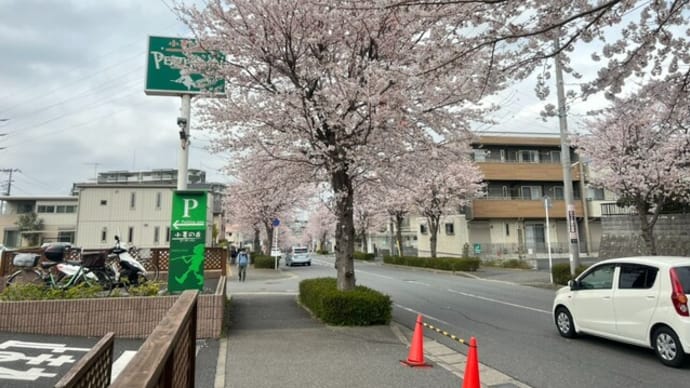 ピーターパンって知ってますか??