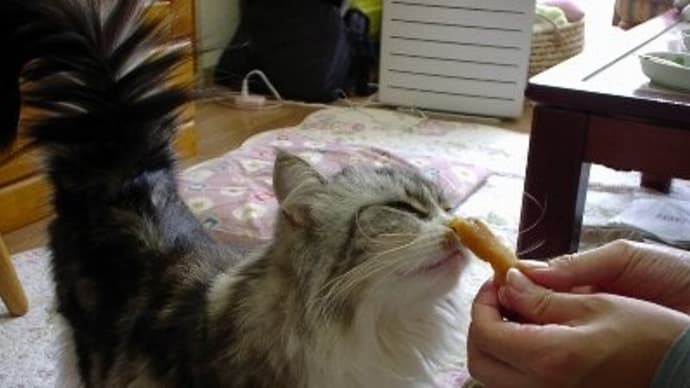 お知らせです~♪ にほんブログ村 カテゴリーを変更しました~♪