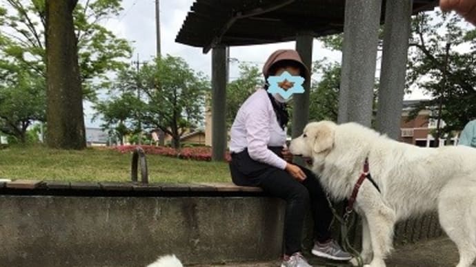 ６月１８日❶　何時もの公園でホー君とおやつの時間だワン！