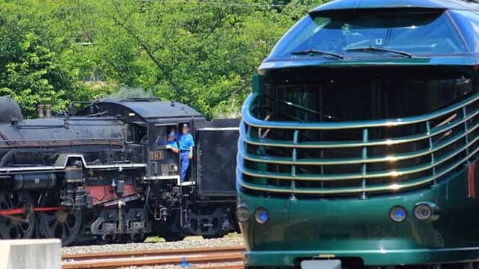 珍しいツーショット・京都鉄道博物館(京都府)