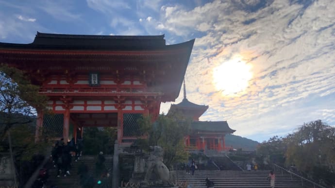 京都一人旅②🍁 2019