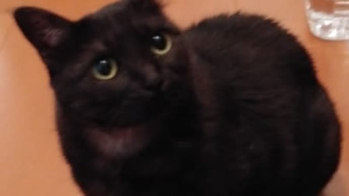 ルドの夜♪
