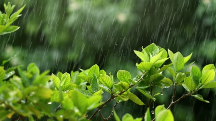 2025年の梅雨と酷暑に効く!中医学がすすめる旬の食材とは