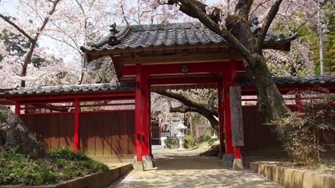 枝垂桜のお寺