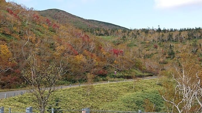 知床横断道路の紅葉の様子!しかし曇り空です 綺麗さ半減ですね
