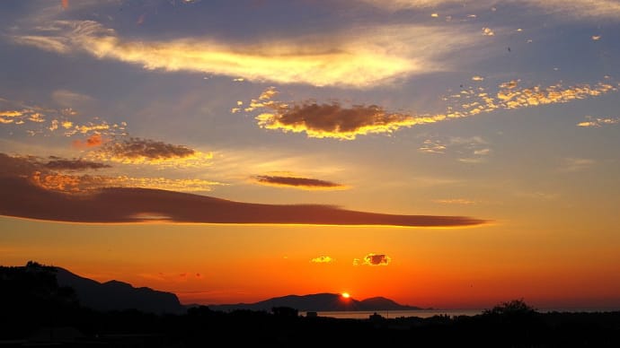 夕焼け空とルリニワゼキショウ