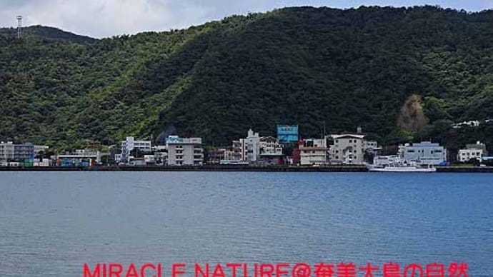 鹿児島県 漁業調査船 くろしお