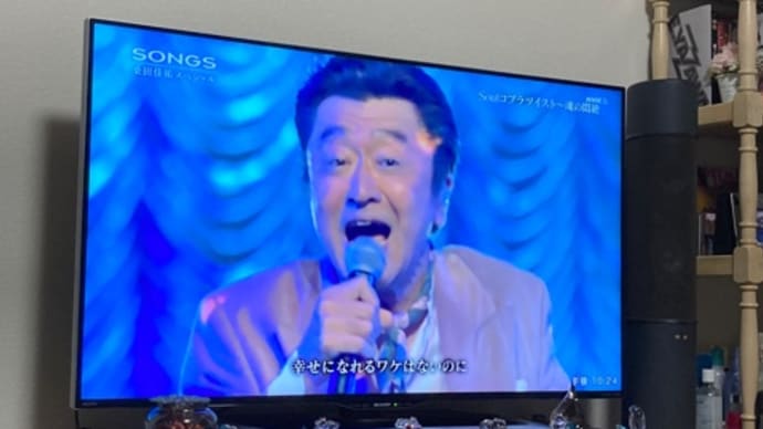 昨夜はSONGSの録画を見ながらカツ煮など