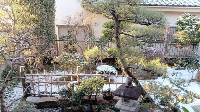 1/14(日)春を、むカエル1輪の山茶花〜🎵もう一度(白鳥英美子) 僕ン家🍚(1/1〜1/10))