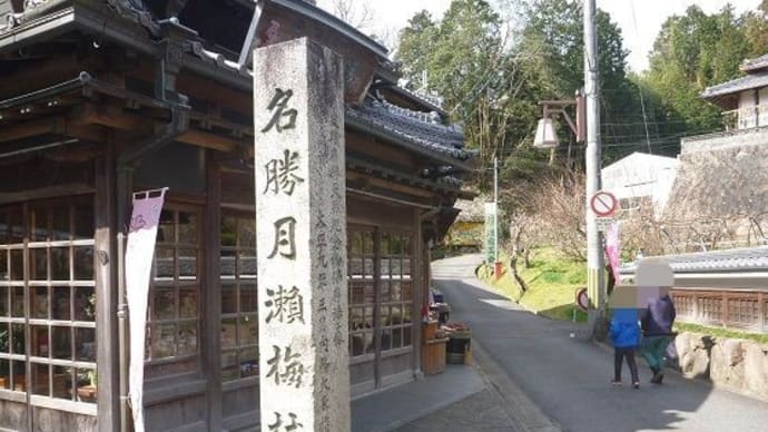 【蔵旅】梅よりおでん? 奈良月ヶ瀬