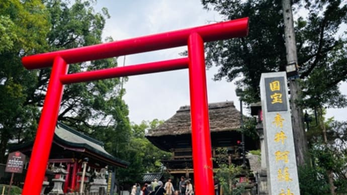 南九州3日間〜1日目(青井阿蘇神社、ランチ、霧島神宮)