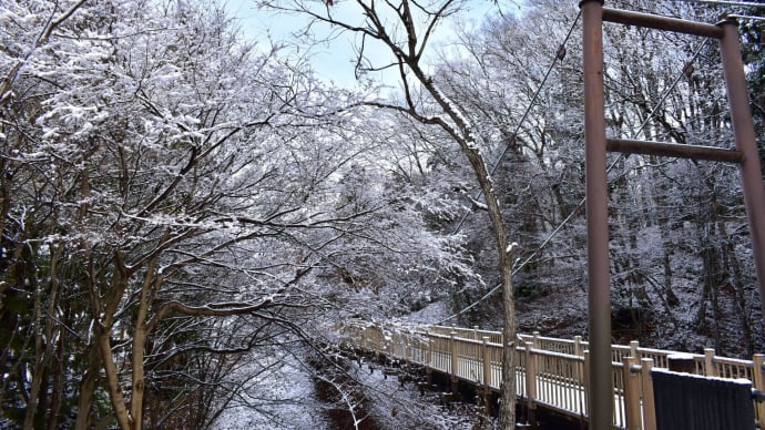雪の森、橋のある風景。