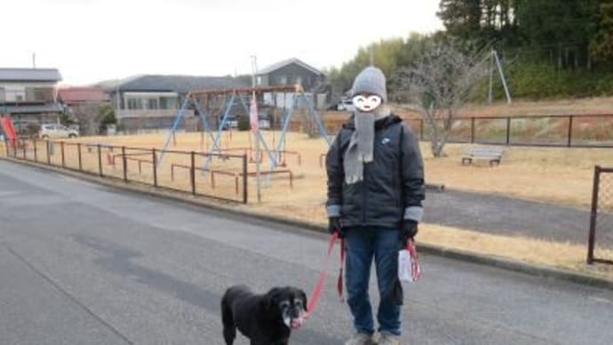 ブログが使えなくなった(-_-;)