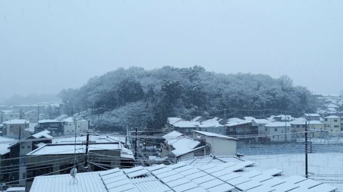 03月08日 朝はしっかり雪でした。